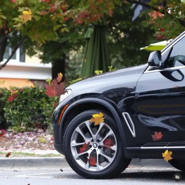 fall photo ig for homepage